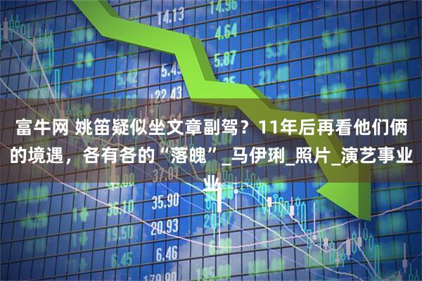 富牛网 姚笛疑似坐文章副驾？11年后再看他们俩的境遇，各有各的“落魄”_马伊琍_照片_演艺事业